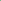 Shot T-Green